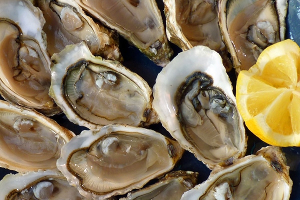 pix-oysters-1958668_600