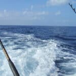 Two fishing rods over the wake of a boat on a family vacation in the open ocean under a blue sky.