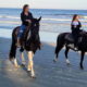 Horseback riding near Fripp Island