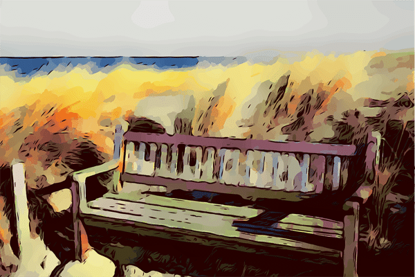 Coastal views from Fripp Island vacation