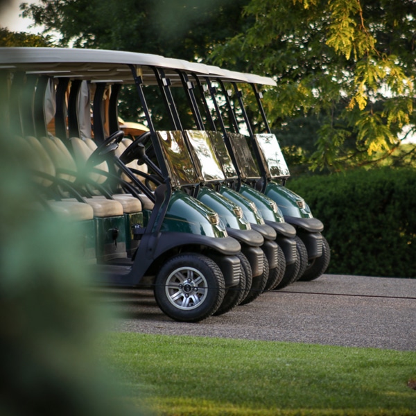 frippisland-golf-carts600