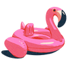 Flamingo100
