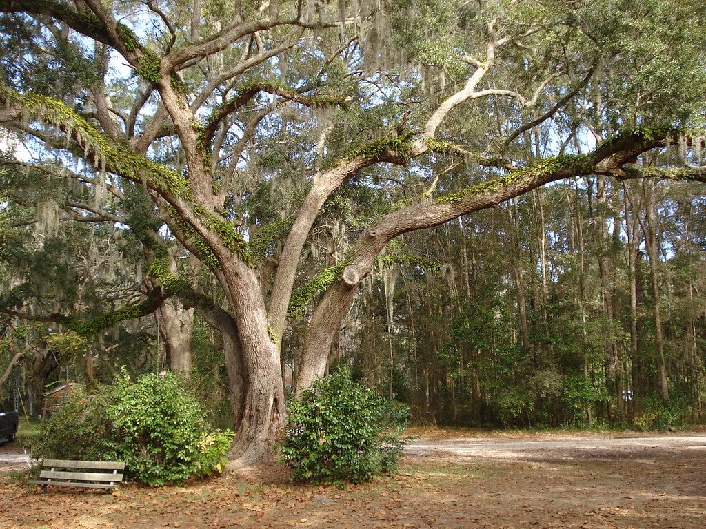 Gullah Geechee Fishing and Farming - Fripp Island Stay