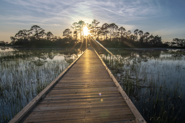 A wooden boardwalk leads over marshy water toward trees with the sun setting behind them.