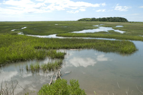 Golf – The Landing at Pleasant Point