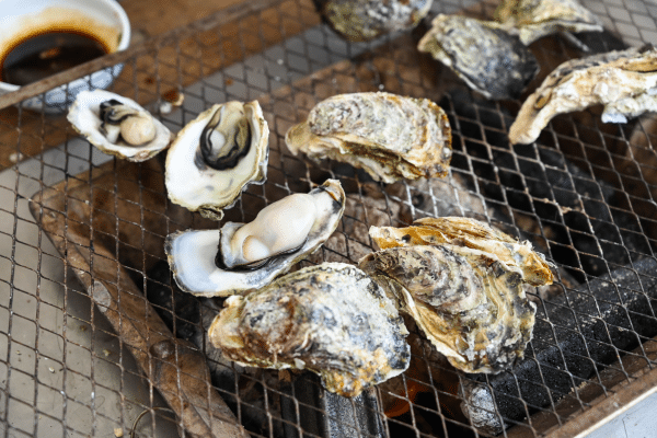 Several oysters being grilled on a wire mesh over charcoal, with some shells open and some closed.
