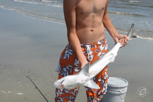A person in orange floral swim trunks holds a small shark on a sandy beach near the ocean.