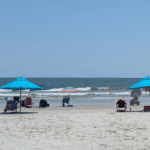 You can swim in the ocean on Fripp Island.