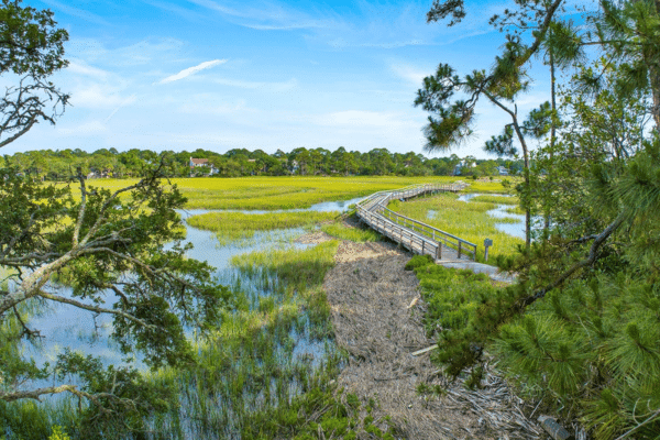 Wooden boardwalk winding through a marsh with green grass and trees, perfect for a Fripp Island vacation rental.
