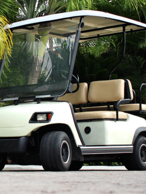 A white golf cart with beige seats parked on pavement, surrounded by lush green tropical plants on Fripp Island.