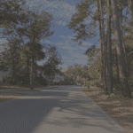 Sunny suburban street lined with tall trees and houses under a blue sky with scattered clouds.