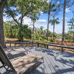 Two lounge chairs on a gray deck overlook palm trees and a pond under a bright blue sky with scattered clouds.
