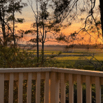 Sunset view over a grassy field and trees, seen from a wooden deck railing.