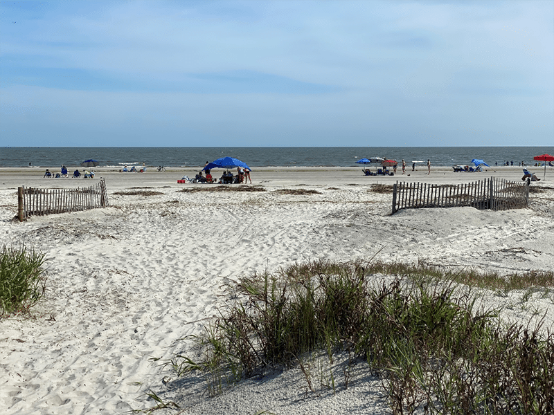 Sandy Fripp Island beach with people under umbrellas, grassy dunes, and wooden fences by the ocean under a blue sky.