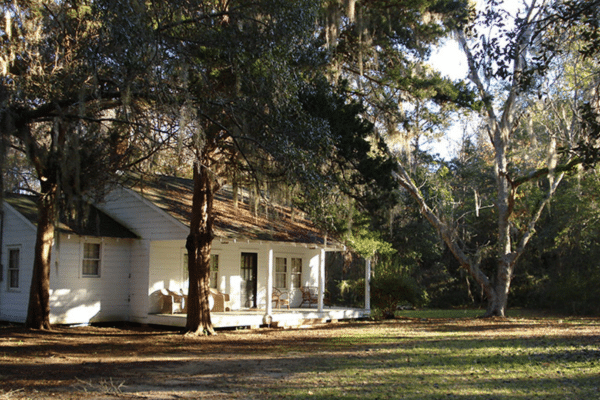 A white house with a porch sits among tall trees, sunlight filtering through branches onto the yard. Lowcountry Gullah Geechee