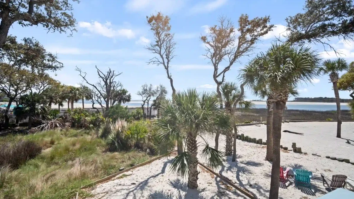 Palm trees and beach chairs on a sandy shore with water and blue sky in the background.