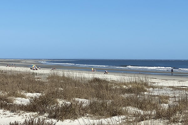 People enjoying a sunny Fripp Island beach with dry grasses in the foreground and the ocean in the distance.